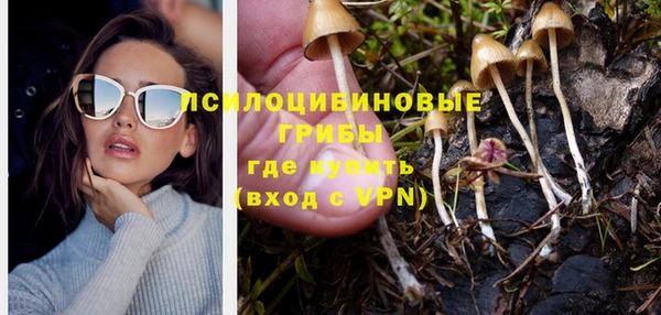 кокс Алексин
