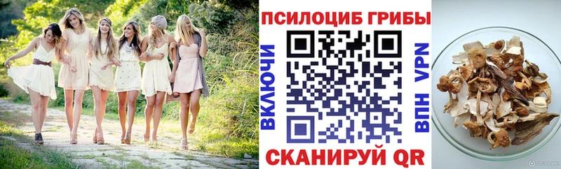 Галлюциногенные грибы ЛСД  Заволжск 